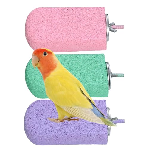 Doiyislem Vogelstangen für Papageien, Sichtweite für Käfig, Eiscreme Harz Vogel Barsch -Übung Spielzeug, 3X stehend -Papageienspielzeug, Pfotenschleifenstab Haustiervorräte, Käfigzubehör Doiyislem Vogelstangen für Papageien, Sichtweite für Käfig, Eiscreme Harz Vogel Barsch -Übung Spielzeug, 3X stehend -Papageienspielzeug, Pfotenschleifenstab Haustiervorräte, Käfigzubehör von Doiyislem