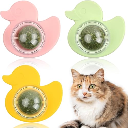 Dokeno 3 Stück Katzenminze Balls Spielzeug für Katze, Zahnreinigung Dental Kätzchen Kauspielzeug, Drehbares Katzenspielzeug, Katzenminze Bälle für Katzen, fur Steigern Sie den Appetit Zahnreinigung Dokeno 3 Stück Katzenminze Balls Spielzeug für Katze, Zahnreinigung Dental Kätzchen Kauspielzeug, Drehbares Katzenspielzeug, Katzenminze Bälle für Katzen, fur Steigern Sie den Appetit Zahnreinigung von Dokeno