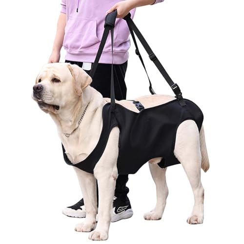 Hundeliftgeschirr, Haustierunterstützung Hund Lift Support für Hunde, Rehabilitation Geschirr Mobilität Sling für Alt, Gelenkverletzungen, Arthritis, Stabilitätsverlust Hunde, Schwarz (L) von Dokeno