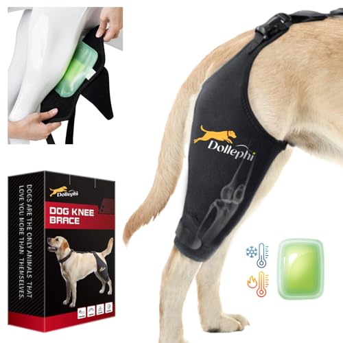 Dollephi Hunde-Kniebandage für gerissenes ACL-Hinterbein, Heiß-/Kaltkompresse bei Patella-Luxation oder Arthrose, Kreuzbandverletzungen, für mittelgroße und große Hunde (rechtes Bein, XL) von Dollephi