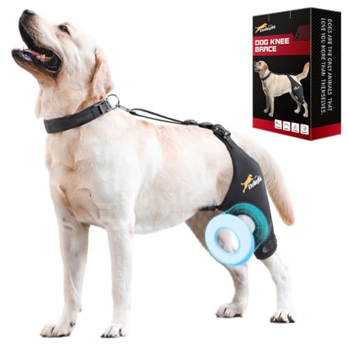 Dollephi Hunde-Kniebandage für gerissenes ACL-Hinterbein, Unterstützung bei Patella-Luxation oder Arthrose, Kreuzbandverletzungen, Aussparung, rutschfeste Bandage fördert die Patella-Stabilität von Dollephi