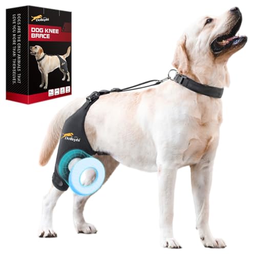 Dollephi Hunde-Kniebandage für gerissenes ACL-Hinterbein, Unterstützung bei Patella-Luxation oder Arthrose, Kreuzbandverletzungen, Aussparung, rutschfeste Bandage fördert die Patella-Stabilität von Dollephi