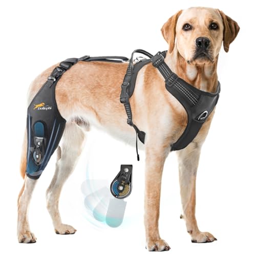 Dollephi Hunde-Kniebandage für gerissenes Hinterbein mit verstellbarem Scharnierstabilisator, Hunde-Rückenbandage bei Arthrose, Beinbandage für Kreuzbandverletzungen, Erholung nach (rechtes Bein, L) Dollephi Hunde-Kniebandage für gerissenes Hinterbein mit verstellbarem Scharnierstabilisator, Hunde-Rückenbandage bei Arthrose, Beinbandage für Kreuzbandverletzungen, Erholung nach (rechtes Bein, L) von Dollephi