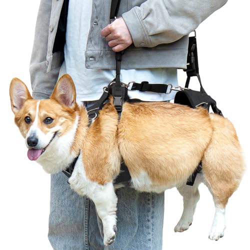 Dollephi Hundegeschirr, Hebebühne mit Griff und Schulterschlinge, Stützgeschirr für Hinter- und Hinterbeine, hilft bei Behinderten, Arthritis, Gelenkverletzungen, Lähmungen auf der Treppe (Schwarz, M) Dollephi Hundegeschirr, Hebebühne mit Griff und Schulterschlinge, Stützgeschirr für Hinter- und Hinterbeine, hilft bei Behinderten, Arthritis, Gelenkverletzungen, Lähmungen auf der Treppe (Schwarz, M) von Dollephi