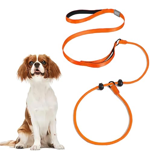 Domkim Retrieverleine, Hundehalsband für kleine Hunde, Welpen, starkes, langes Trainingsseil, Schlaufenleine mit doppelt gepolsterten Griffen, kein Ziehen, für kleine Haustiere (Orange) von DomKim