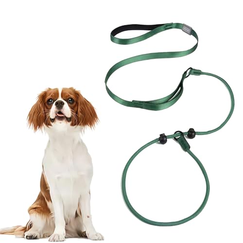 Domkim Retrieverleine für kleine Hunde, 1,5 m Trainingsseil mit doppelt gepolsterten Griffen für Welpen, Kleintiere, Halsband und Leine zum Spazierengehen, Laufen (Grün) von DomKim