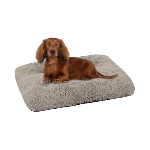 Domarex Hundebett Katzenbett weich flauschig 70x50 cm - orthopädisches Haustierbett für kleine Hunde & Katzen - rutschfestes, pflegeleichtes Kuschelkissen aus Polyester mit Silikonfüllung - Beige von Domarex