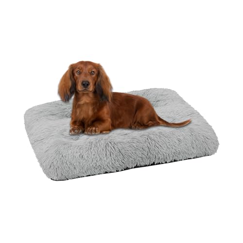 Domarex Hundebett Katzenbett weich flauschig 70x50 cm - orthopädisches Haustierbett für kle-ine Hunde & Katzen - rutschfestes, pflegeleichtes Kuschelkissen aus Polyester mit Silikonfüllung - Grau von Domarex