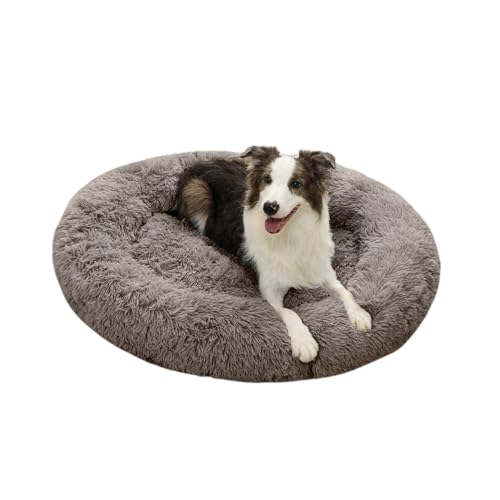 Domarex Weiches rundes Hundebett 110 cm XXL - Flauschiges Katzenbett mit hohem Rand - Shaggy Haustierkissen mit Silikonfüllung - gemütliches Anti-Rutsch - Schlafplatz für Hunde & Katzen - Beige von Domarex