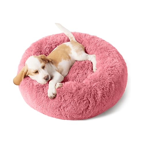 Domarex Weiches und Flauschiges Kissenbett für Hunde und Katzen - Komfortable - rundes Schlafkissen mit erhöhtem Rand - Anti-Slip Boden - ideal für kleinere Haustiere - 40 cm - Rosa von Domarex