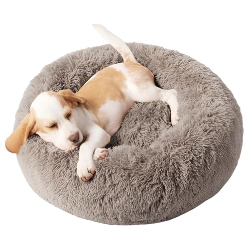 Domarex Rundes Hundebett für Hunde und Katzen 60 cm - Weiches, Flauschiges Kissen mit erhöhten Rändern - Anti-Rutsch Boden - Silikonfüllung für Komfort und Wärme - Pflegeleicht - Beige von Domarex