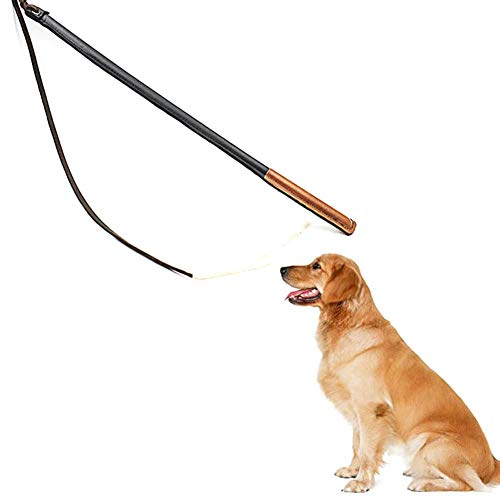 Domary Professionelle Nachahmung Lederhunde Training Peitsche für Effektive Haustierausbildung für Hundefachleute Anwendbar (Wie Gezeigt) von Domary