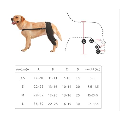 Domary Verstellbare Kniebandage für die Hinterbeine von Hunden, Unterstützung für Erholung, Stabilität, Schmerzlinderung, Geeignet für Hunde, SBR, Verschiedene (HJ25 hintere Domary Verstellbare Kniebandage für die Hinterbeine von Hunden, Unterstützung für Erholung, Stabilität, Schmerzlinderung, Geeignet für Hunde, SBR, Verschiedene (HJ25 hintere von Domary