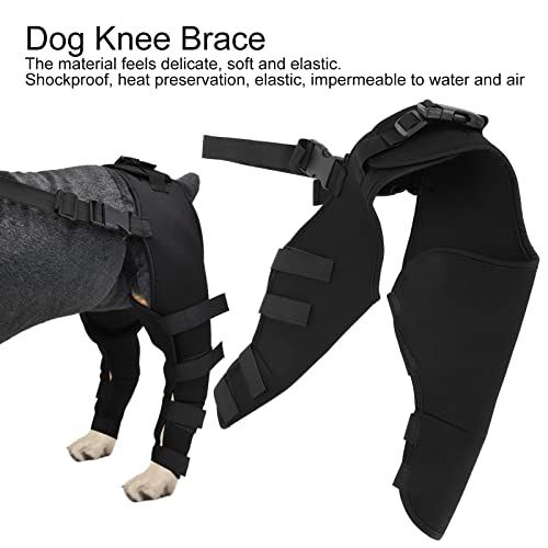 Domary Verstellbare Kniebandage für die Hinterbeine von Hunden, Unterstützung für Erholung, Stabilität, Schmerzlinderung, Geeignet für Hunde, SBR, Verschiedene (HJ25 hintere Domary Verstellbare Kniebandage für die Hinterbeine von Hunden, Unterstützung für Erholung, Stabilität, Schmerzlinderung, Geeignet für Hunde, SBR, Verschiedene (HJ25 hintere von Domary