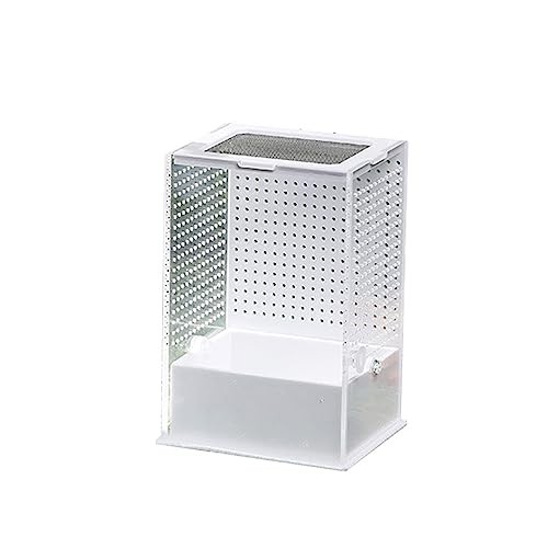 Transparente Futterbox mit Deckel für Geckos Supplies Transparente Futterbox Behälter Zuchtbox von Domasvmd
