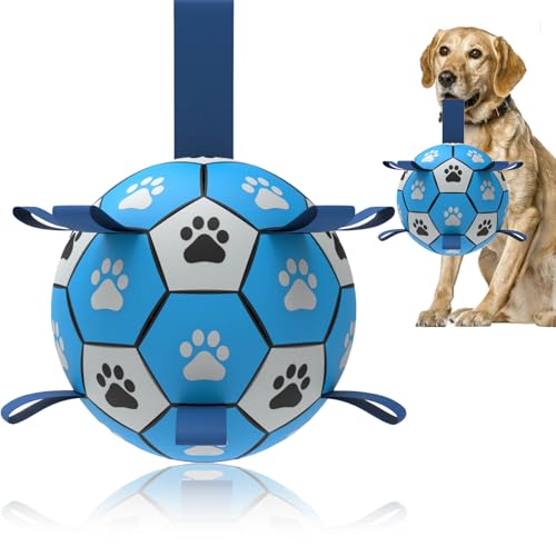 Hundespielzeug, interaktives Hundespielzeug zum Tauziehen, Welpengeburtstagsgeschenke, Wasserspielzeug, langlebige Hundebälle für kleine und mittelgroße Hunde (Blau, 20,3 cm) von Domchan
