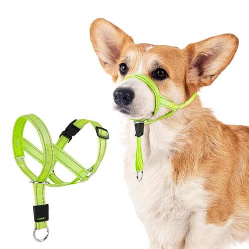 DOMIGLOW Hundehalfter gegen Ziehen, reflektierendes Halfter für Hunde, gepolstertes Hundehalfter gegen schweres Ziehen, Anti-Zieh-Maulkorbleine (grün, klein) von Domi