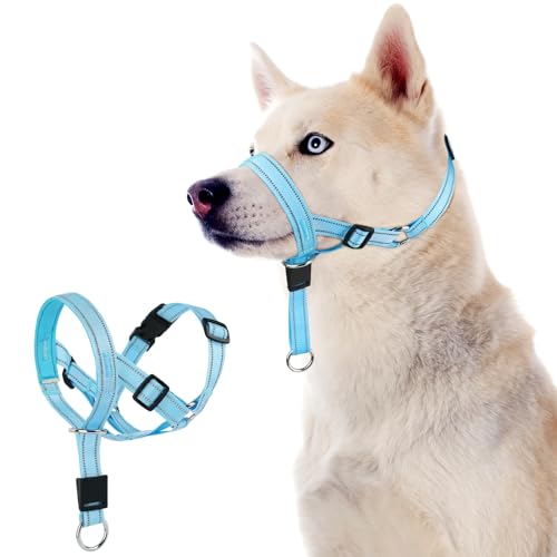 DOMIGLOW Hundehalfter gegen Ziehen, reflektierendes Halfter für Hunde, gepolstertes Hundehalfter gegen schweres Ziehen, Anti-Zug-Maulkorbleine (Blau, Größe M) von Domi