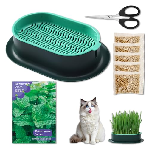 Katzengras Keimschale Set,mit1000 Katzenminze Samen,100g Katzengras Samen,Sprossen Anzuchtset Katzengras Keimschale Set,mit1000 Katzenminze Samen,100g Katzengras Samen,Sprossen Anzuchtset von Dongcill