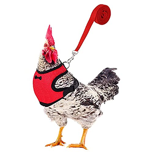 Dongzhi Verstellbares Hühner-Geschirr mit Leine und passendem Gürtel, bequeme Henne Haustier Weste atmungsaktiv Huhn Training Geschirr für Huhn, Ente oder Training Walking (schwarz, rot) von Dongzhi