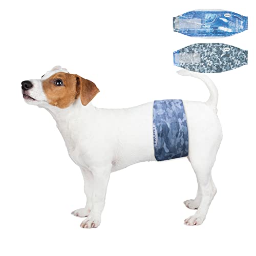 Dono Hundewindeln für Rüden, 24 Stück, Extrabreite Rüdenwindel, super saugfähig, auslaufsicher, Hunde Windeln Rüde für Inkontinenz, Reise, XS, S, M, L von Dono
