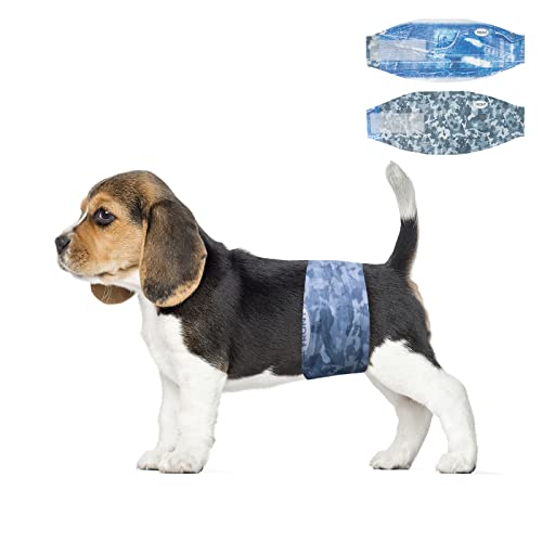 Dono Hundewindeln für Rüden, 24 Stück, Extrabreite Rüdenwindel, super saugfähig, auslaufsicher, Hunde Windeln Rüde für Inkontinenz, Reise, XS, S, M, L von Dono