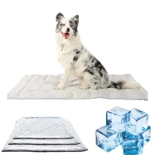 Donubiiu Pfotenchill Kühlmatte Hund, Pfoten Chill kühldecke, Kühlgewebe Wendbar, Maschinenwaschbar, Schützt Deinen Vor Überhitzung, für Gartenbett, Haus Autositz (XL) von Donubiiu