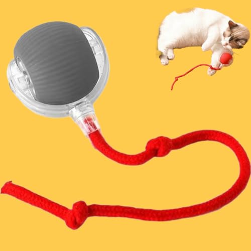 Donubiiu Power Magie-Ball,Magic Ball FüR Hunde,Katzen Spielball Elektrisch (Grau,2 PCS) von Donubiiu