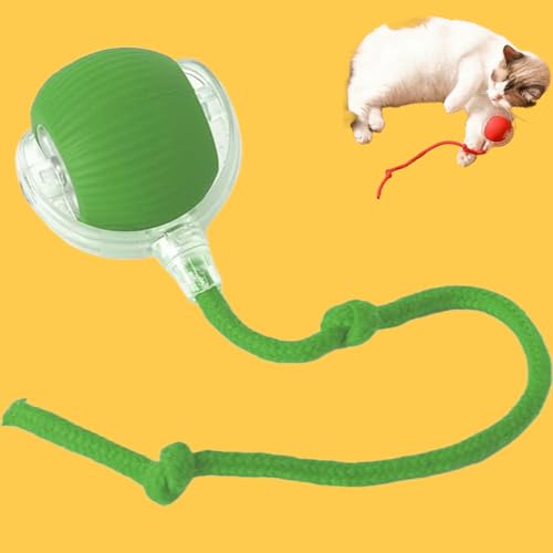Donubiiu Power Magie-Ball,Magic Ball FüR Hunde,Katzen Spielball Elektrisch (Grün,2 PCS) von Donubiiu