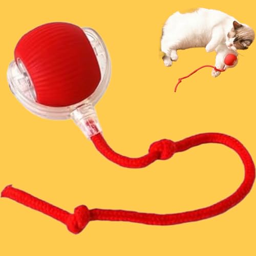 Donubiiu Power Magie-Ball,Magic Ball FüR Hunde,Katzen Spielball Elektrisch (Rot,3 PCS) von Donubiiu
