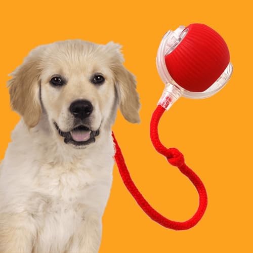 Donubiiu Magic Ball, Magic Ball Hund, Interaktiver Spielball für Hunde, Elektrisch Interaktiver Hundespielzeug Kauzauberball mit Schwanz (1 Stück) von Donubiiu