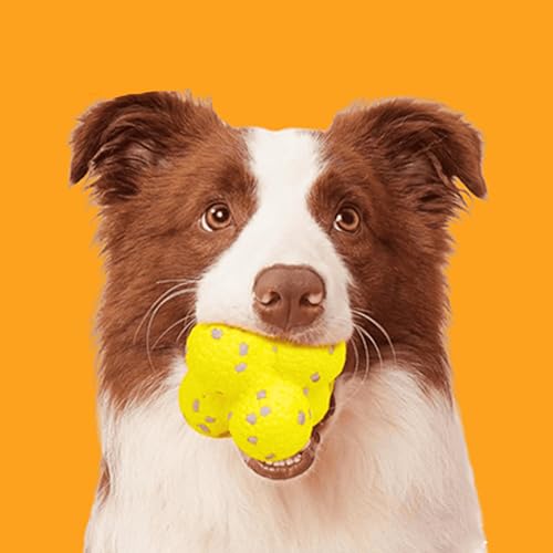 Donubiiu Pfotenstern Kauzauber Ball für Hunde - Hundeball-Spielzeug für Aggressive Kauer, Große, Mittelgroße und Kleine Hunde Donubiiu Pfotenstern Kauzauber Ball für Hunde - Hundeball-Spielzeug für Aggressive Kauer, Große, Mittelgroße und Kleine Hunde von Donubiiu