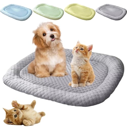 Donubiiu Vierpfotenmarkt FrischePlatz Sofort-Kühlkissen Für Hunde Und Katzen,PfotenChilm-Die Innovative KühlmattefÃür Hunde,rutschfest kühlende Hundedecke Eisseide,Machine Washable (Grau,M) von Donubiiu