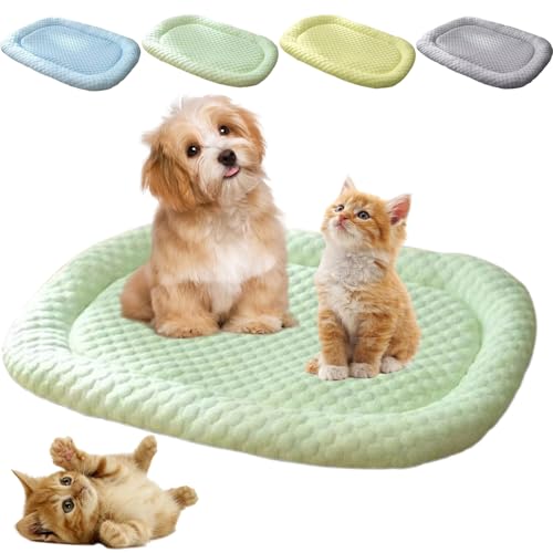 Donubiiu Vierpfotenmarkt FrischePlatz Sofort-Kühlkissen Für Hunde Und Katzen,PfotenChilm-Die Innovative KühlmattefÃür Hunde,rutschfest kühlende Hundedecke Eisseide,Machine Washable (Grün,L) von Donubiiu