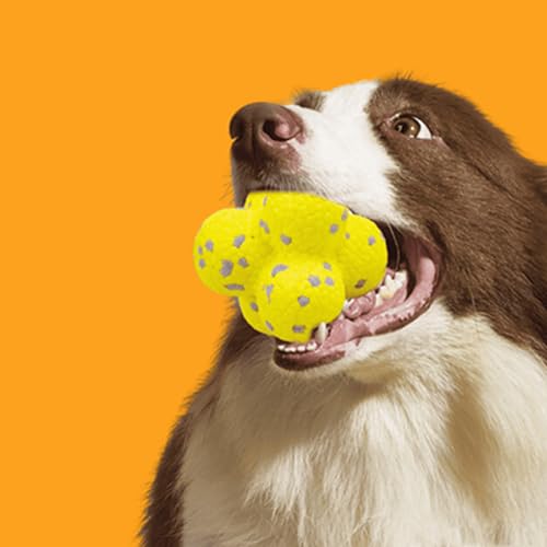 Donubiiu pfotenstern kauzauber Ball, Pfotenstern Magic Ball,Kauzauber-Ball für Hunde, Hundeball-Spielzeug für Aggressive Kauer,Hunde Ball für Große, Mittelgroße, Kleine Hunde Donubiiu pfotenstern kauzauber Ball, Pfotenstern Magic Ball,Kauzauber-Ball für Hunde, Hundeball-Spielzeug für Aggressive Kauer,Hunde Ball für Große, Mittelgroße, Kleine Hunde von Donubiiu