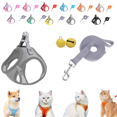 Serenosole Stimulicat Katzengeschirr–ausbruchsicheres Set aus weicher Netzweste und Leine,Stimuli Katzengeschirr Design für Outdoor Katzen,No-Choke-No-Pull-Design mit Reflektorstreifen,XXXS-L (J,XXS) Serenosole Stimulicat Katzengeschirr–ausbruchsicheres Set aus weicher Netzweste und Leine,Stimuli Katzengeschirr Design für Outdoor Katzen,No-Choke-No-Pull-Design mit Reflektorstreifen,XXXS-L (J,XXS) von Donubiiu
