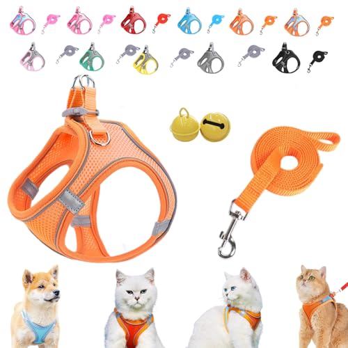 Serenosole Stimulicat Katzengeschirr–ausbruchsicheres Set aus weicher Netzweste und Leine,Stimuli Katzengeschirr Design für Outdoor Katzen,No-Choke-No-Pull-Design mit Reflektorstreifen,XXXS-L (E,XXXS) Serenosole Stimulicat Katzengeschirr–ausbruchsicheres Set aus weicher Netzweste und Leine,Stimuli Katzengeschirr Design für Outdoor Katzen,No-Choke-No-Pull-Design mit Reflektorstreifen,XXXS-L (E,XXXS) von Donubiiu