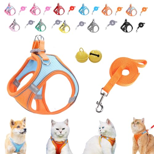 Serenosole Stimulicat Katzengeschirr–ausbruchsicheres Set aus weicher Netzweste und Leine,Stimuli Katzengeschirr Design für Outdoor Katzen,No-Choke-No-Pull-Design mit Reflektorstreifen,XXXS-L (F,XXXS) Serenosole Stimulicat Katzengeschirr–ausbruchsicheres Set aus weicher Netzweste und Leine,Stimuli Katzengeschirr Design für Outdoor Katzen,No-Choke-No-Pull-Design mit Reflektorstreifen,XXXS-L (F,XXXS) von Donubiiu