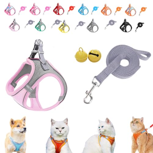 Serenosole Stimulicat Katzengeschirr–ausbruchsicheres Set aus weicher Netzweste und Leine,Stimuli Katzengeschirr Design für Outdoor Katzen,No-Choke-No-Pull-Design mit Reflektorstreifen,XXXS-L (G,XXXS) Serenosole Stimulicat Katzengeschirr–ausbruchsicheres Set aus weicher Netzweste und Leine,Stimuli Katzengeschirr Design für Outdoor Katzen,No-Choke-No-Pull-Design mit Reflektorstreifen,XXXS-L (G,XXXS) von Donubiiu