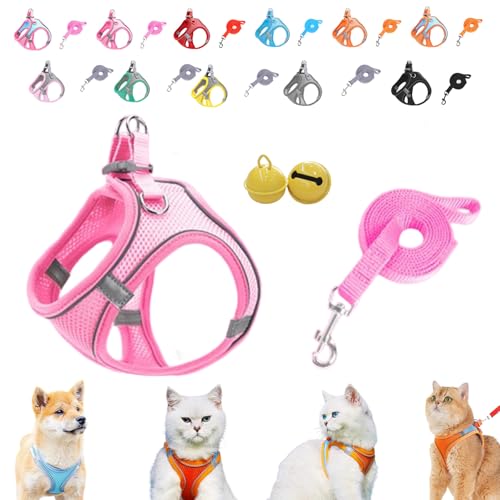 Serenosole Stimulicat Katzengeschirr–ausbruchsicheres Set aus weicher Netzweste und Leine,Stimuli Katzengeschirr Design für Outdoor Katzen,No-Choke-No-Pull-Design mit Reflektorstreifen,XXXS-L (B,XXS) Serenosole Stimulicat Katzengeschirr–ausbruchsicheres Set aus weicher Netzweste und Leine,Stimuli Katzengeschirr Design für Outdoor Katzen,No-Choke-No-Pull-Design mit Reflektorstreifen,XXXS-L (B,XXS) von Donubiiu