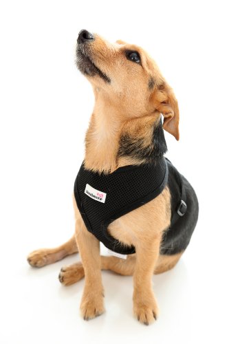 Doodlebone Airmesh Hundegeschirr, gepolstert, weich, atmungsaktiv, sanft zum Hals des Hundes, um Prellungen zu vermeiden, Größe M, Schwarz Doodlebone Airmesh Hundegeschirr, gepolstert, weich, atmungsaktiv, sanft zum Hals des Hundes, um Prellungen zu vermeiden, Größe M, Schwarz von Doodlebone
