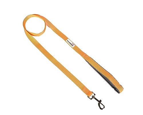 Doodlebone Gepolsterte Hundeleine, pfirsichfarben, 15 mm Doodlebone Gepolsterte Hundeleine, pfirsichfarben, 15 mm von Doodlebone