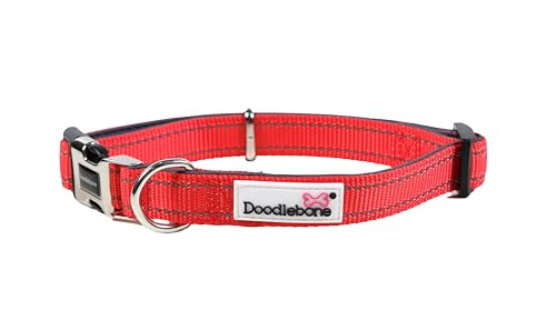 Doodlebone Gepolstertes Halsband, Koralle, 6-11 Doodlebone Gepolstertes Halsband, Koralle, 6-11 von Doodlebone