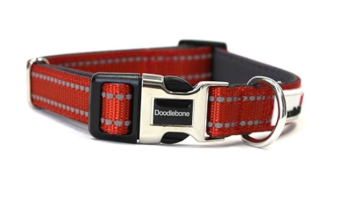 Doodlebone Gepolstertes Halsband für Hunde, Kürbis, 3–6 von Doodlebone