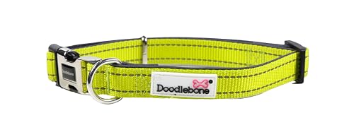 Doodlebone Gepolstertes Halsband, Zitrus, Größe 36-46 von Doodlebone