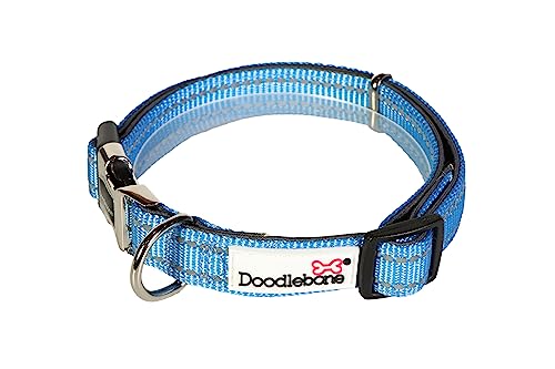 Doodlebone Gepolstertes Hundehalsband (3-6, Kornblume) von Doodlebone