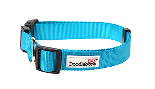 Doodlebone Originals Hundehalsband (Aqua, 1-2) von Doodlebone