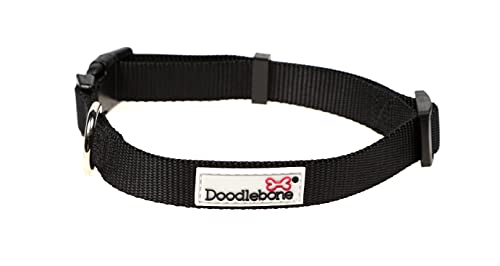 Doodlebone Originals Hundehalsband (Kohle, Größe 39-45) von Doodlebone