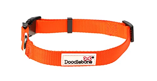 Doodlebone Originals Hundehalsband (Mandarine, 3-6) von Doodlebone