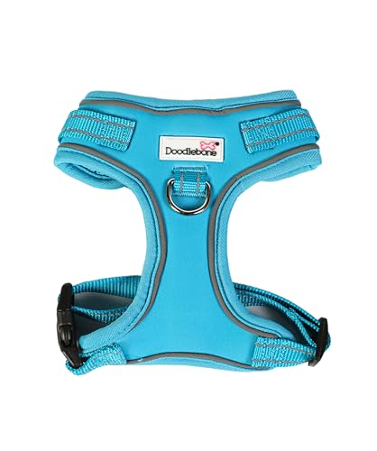 Doodlebone Verstellbares Airmesh, Aqua, 2-3 von Doodlebone